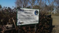 せせらぎ