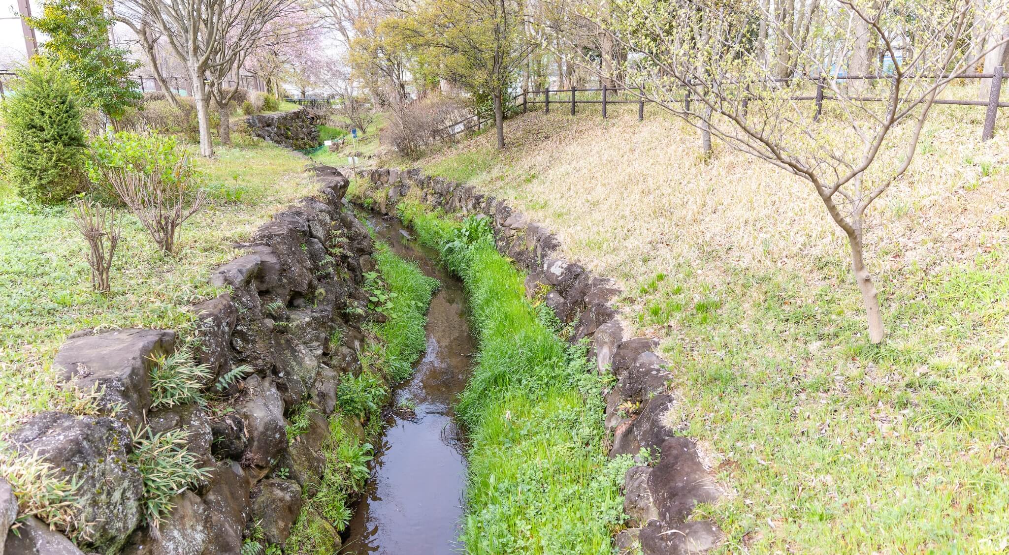 公園の写真