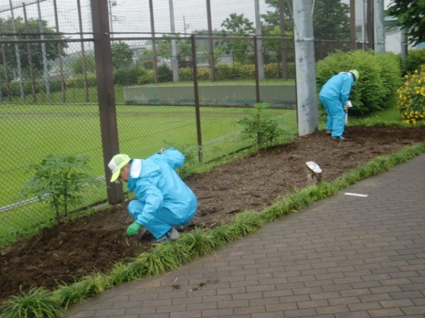 耕耘、種まき