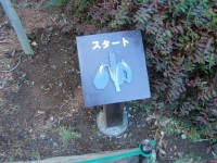 区の花:アヤメ