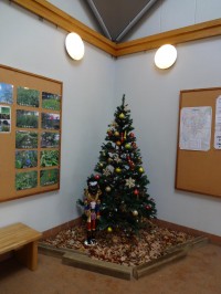 中田中央公園クリスマスツリー