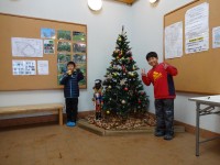 中田中央公園クリスマスツリー