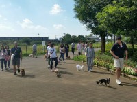 中田中央公園内をみんなでお散歩