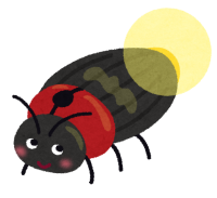 bug_hotaru