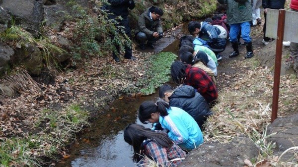 さあ放流です。ちゃんと水の中に入れたかな？