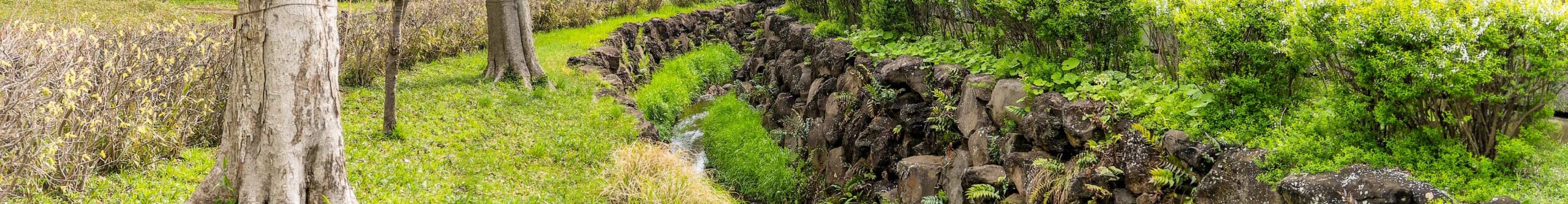 背景の画像